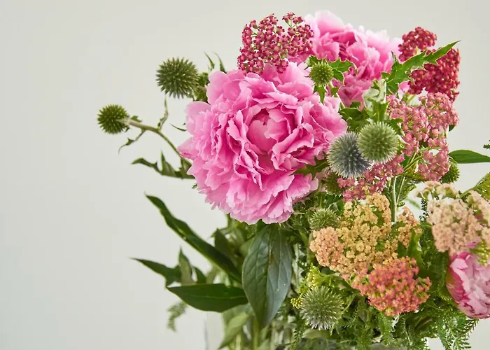 شقة Choice Prime Alfama Lisboa